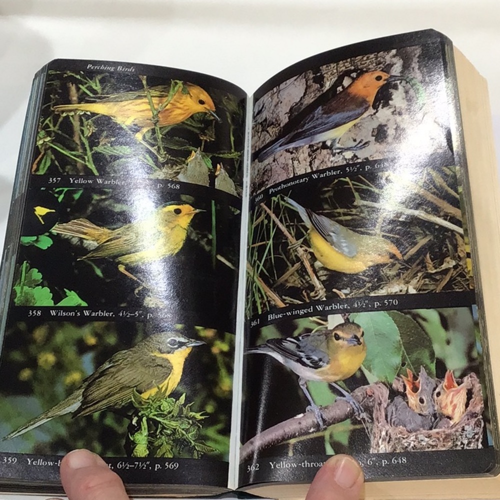 The Audubon Society North American Birds Field Guide  leatherette cover